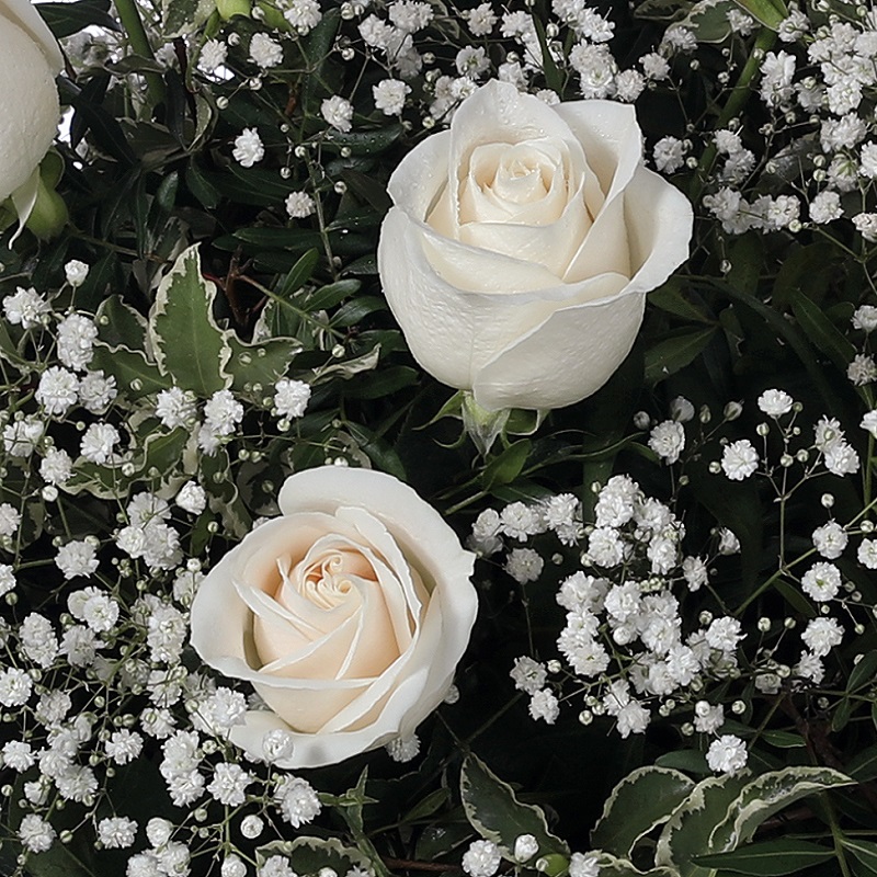 Centro de rosas blancas plus